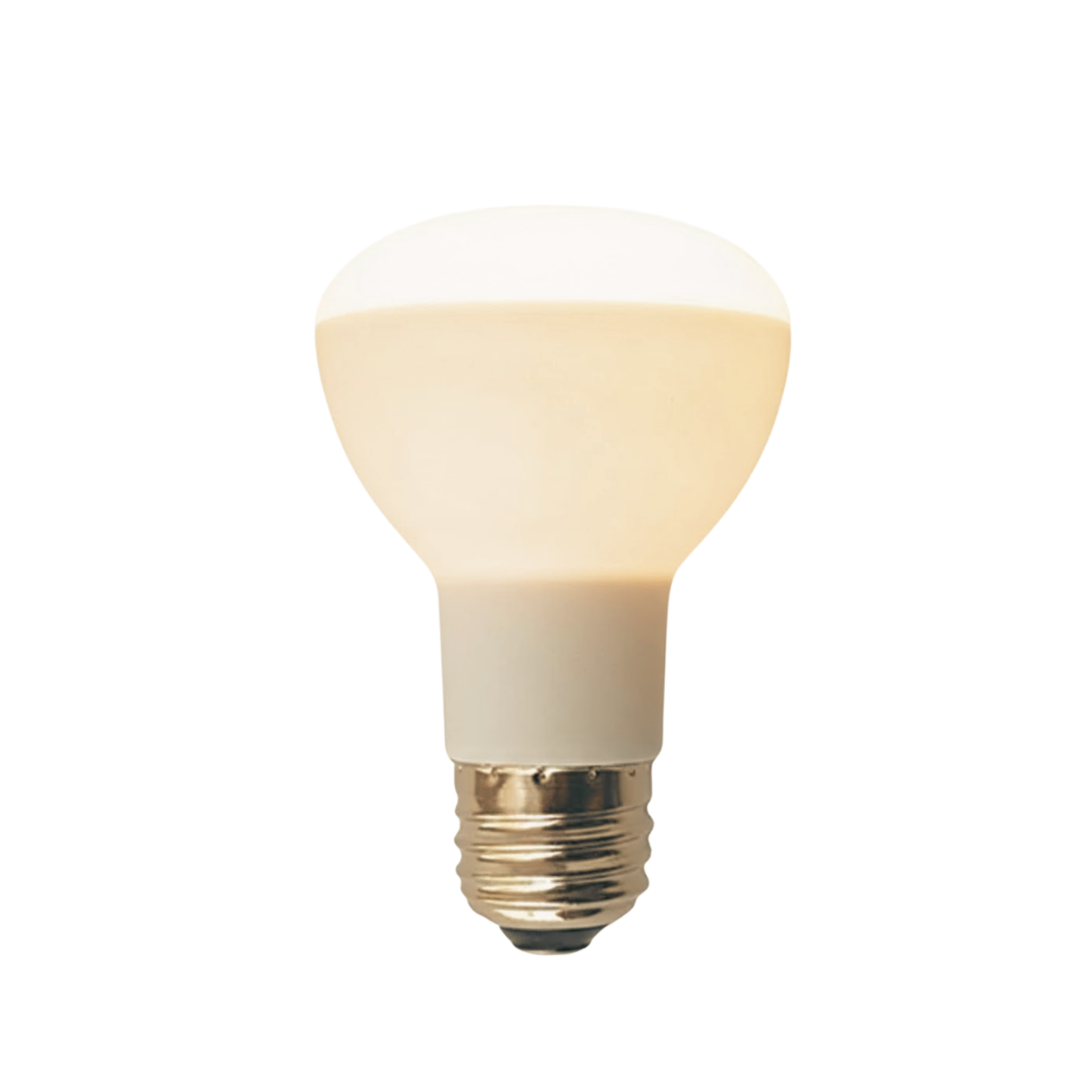 7 Watt LED Flood Light Bulbs E26 Bulbs Dimmable Light Bulb